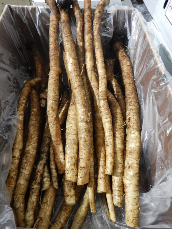 Burdock Root